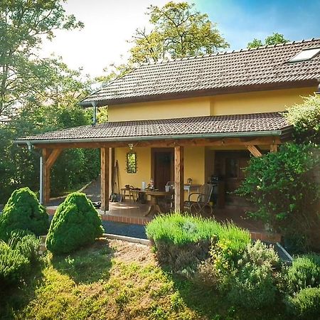 Green Hills Cottage In Zagorje With Magnificent View Ravnice-Desinicke Экстерьер фото