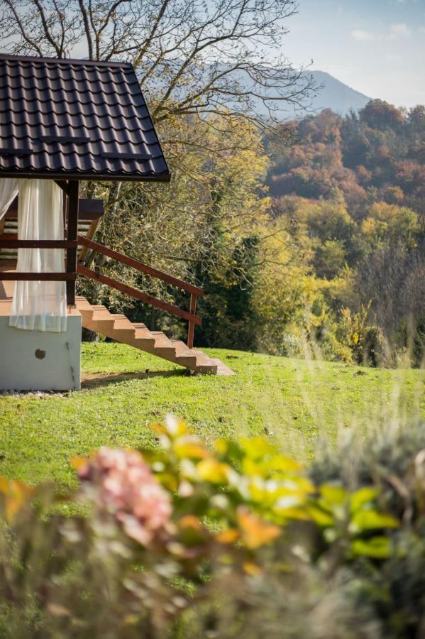 Green Hills Cottage In Zagorje With Magnificent View Ravnice-Desinicke Экстерьер фото